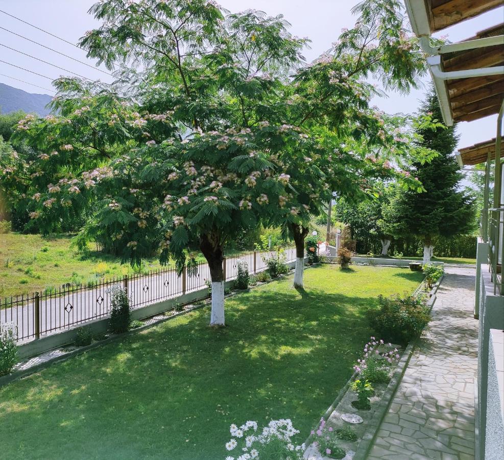 Zisis Garden Studios 이오아니아 외부 사진