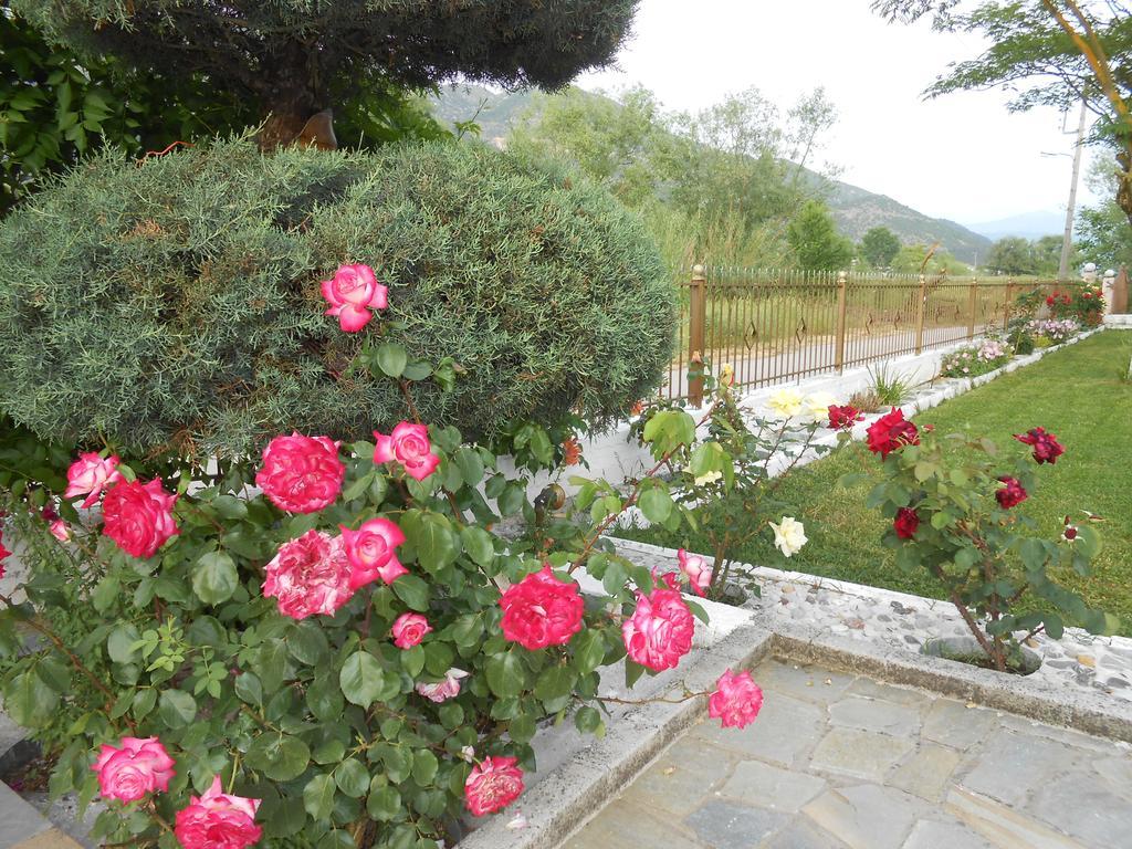 Zisis Garden Studios 이오아니아 외부 사진
